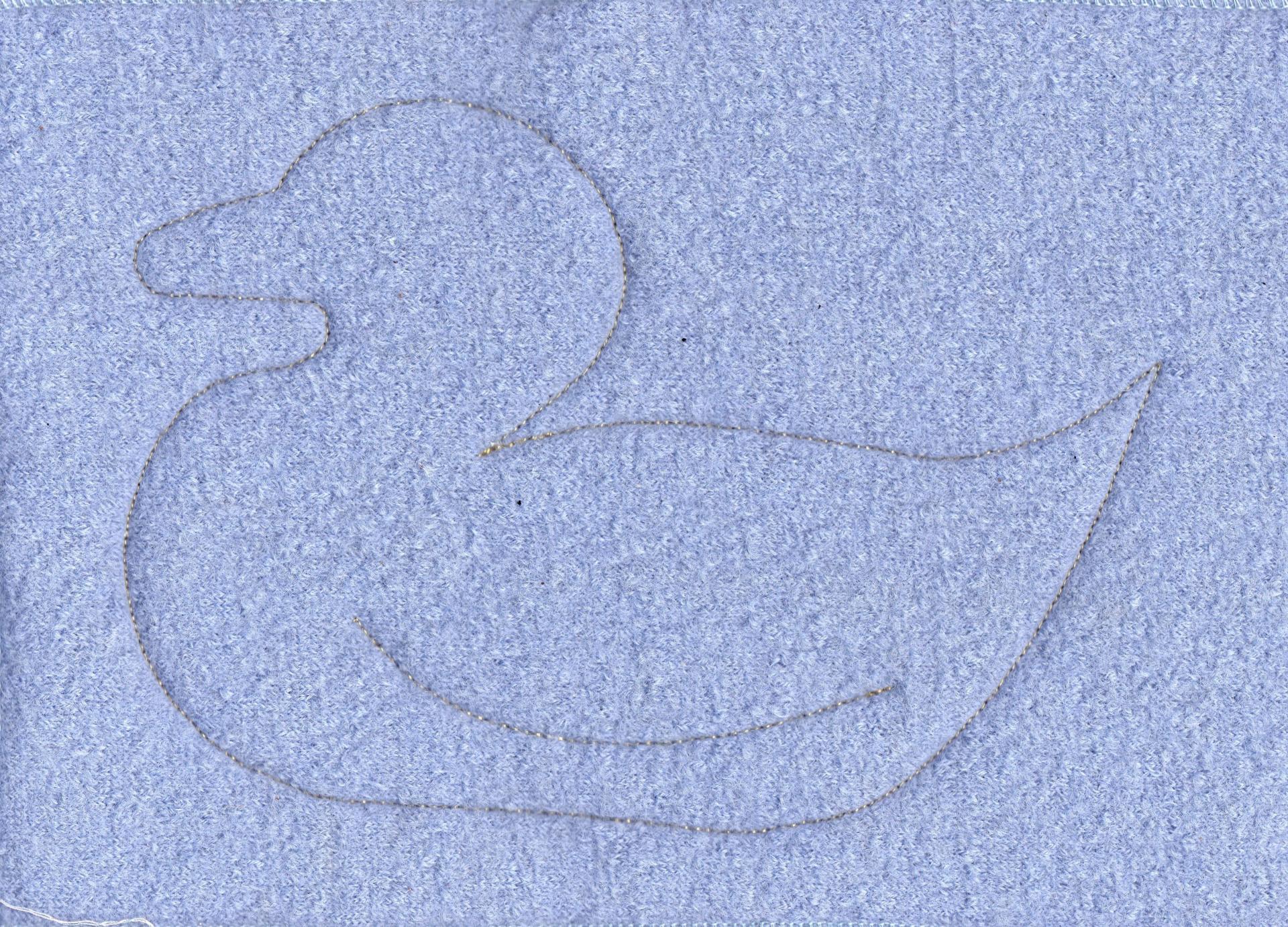 canard