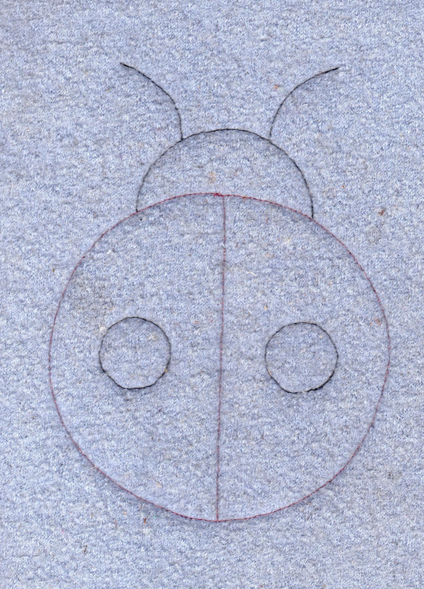 coccinelle